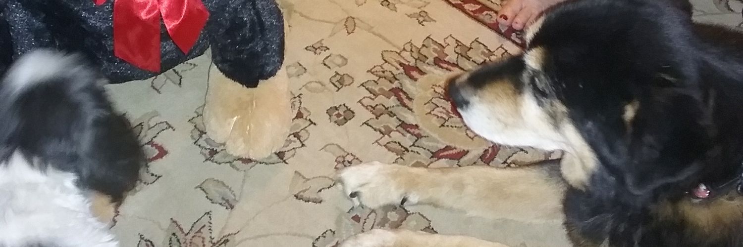 ratchel_c's profile banner image