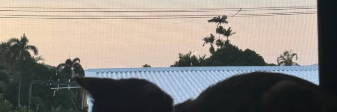 SF4DSF4's profile banner image