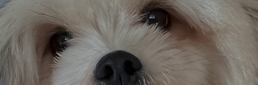 cullabea's profile banner image