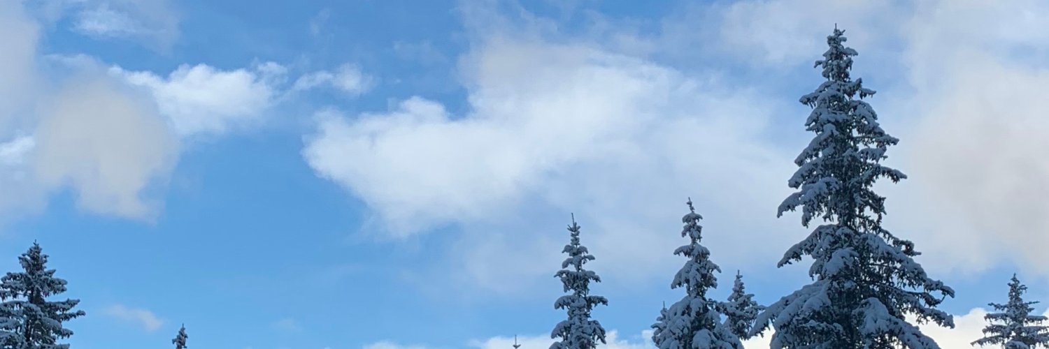 Núria Castan banner