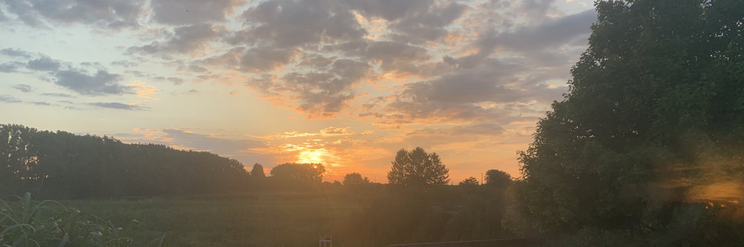 Amy VanMercer banner