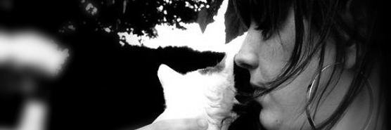Tere_DF_CrCATS's profile banner image