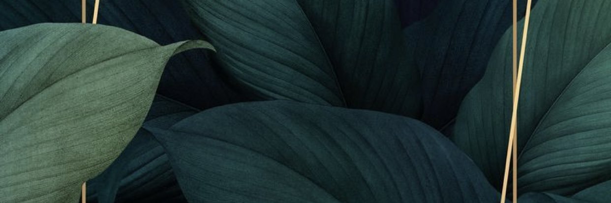 rainblackburn_'s profile banner image