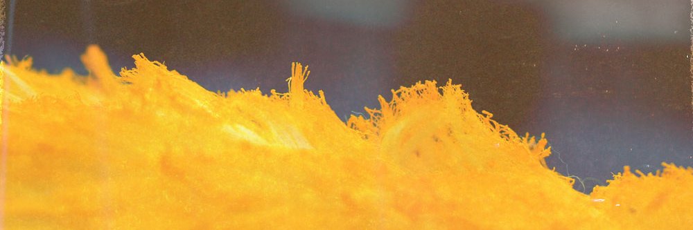 jgfzbts's profile banner image