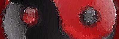 nobodyarrogant's profile banner image