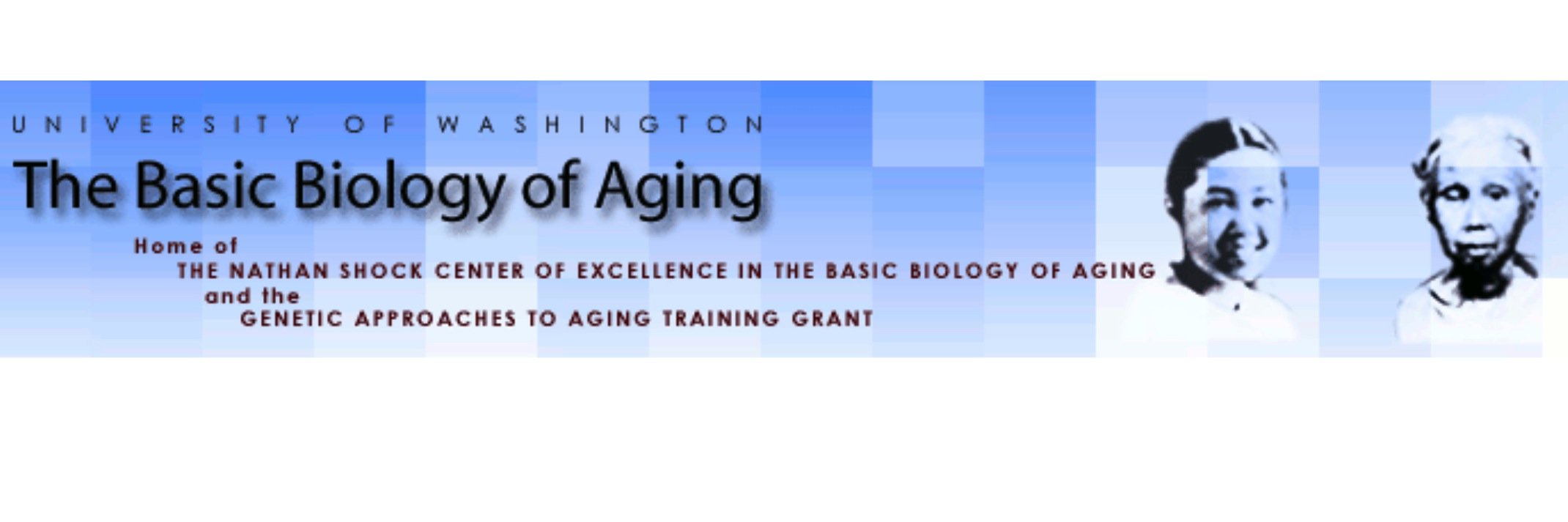 UW Aging banner