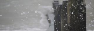EnableSelfCare's profile banner image