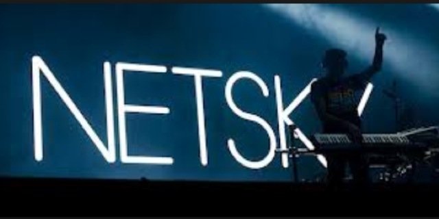 netsky banner