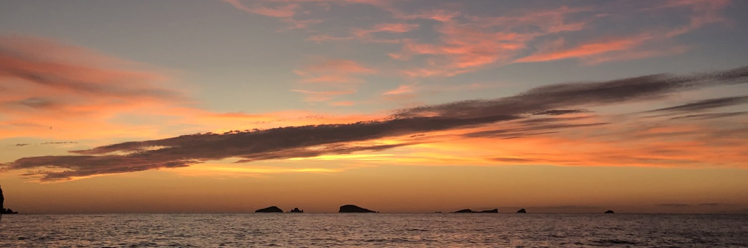 ariadnamm4's profile banner image