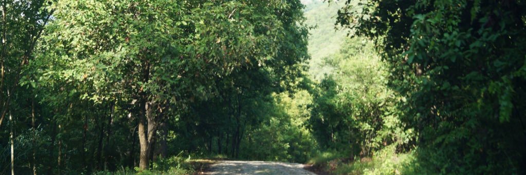 yaretzze's profile banner image