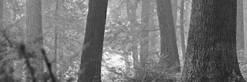 benjswift13's profile banner image