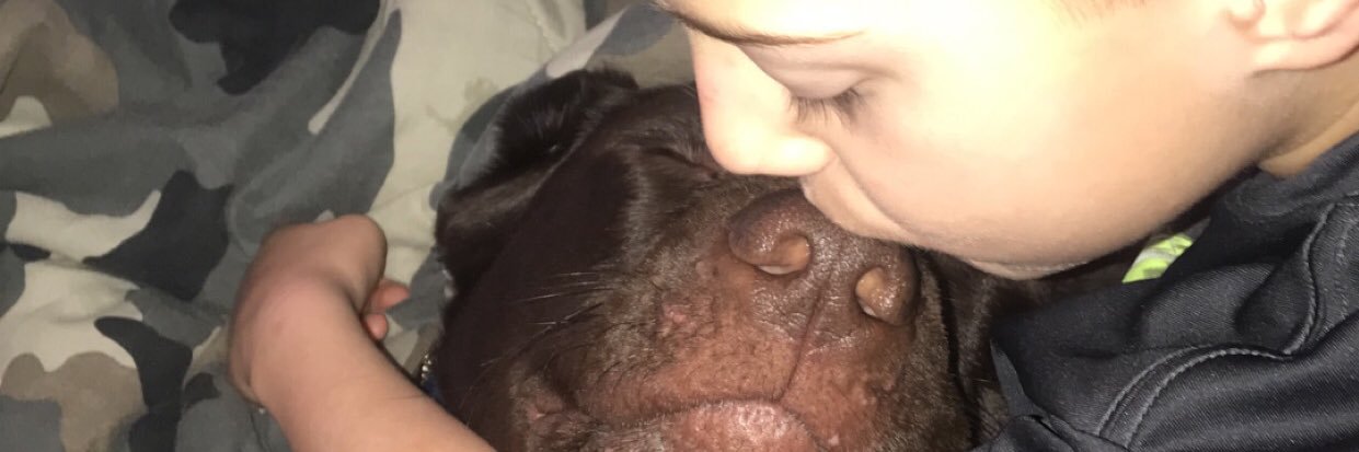 skyeevodka's profile banner image