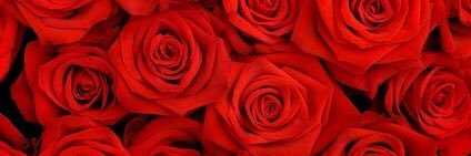 Queen_Ky_Rae's profile banner image