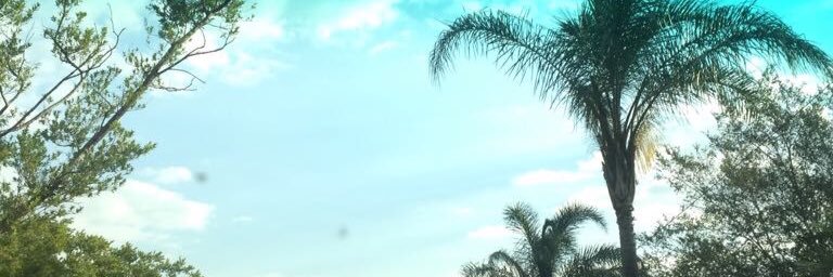 asisipho_mbi's profile banner image