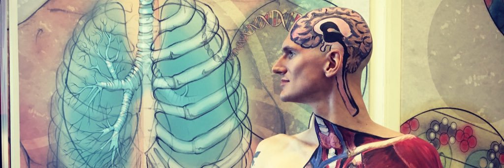 artandanatomy's profile banner image