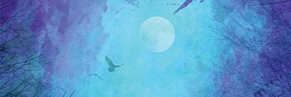 breannealison's profile banner image
