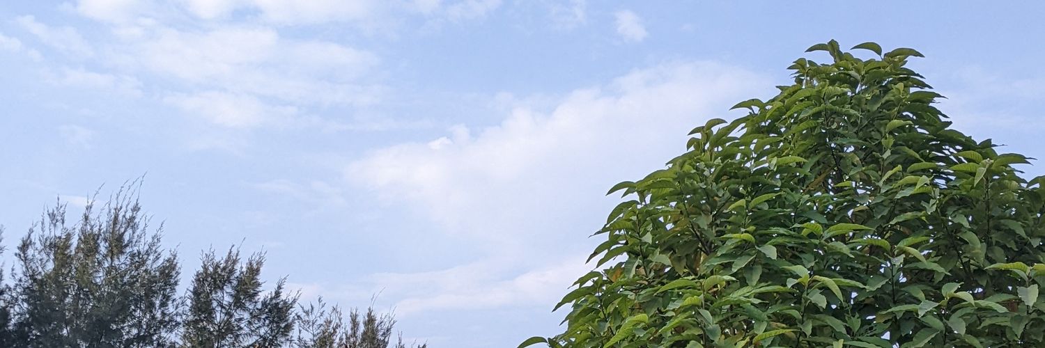 rohitxthapar's profile banner image