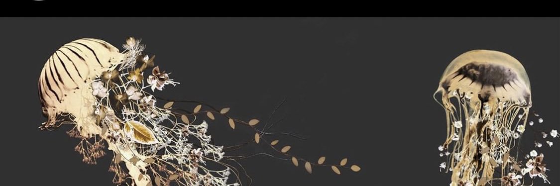 gem_mode's profile banner image