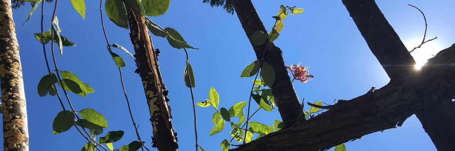 Harley_Davison_'s profile banner image