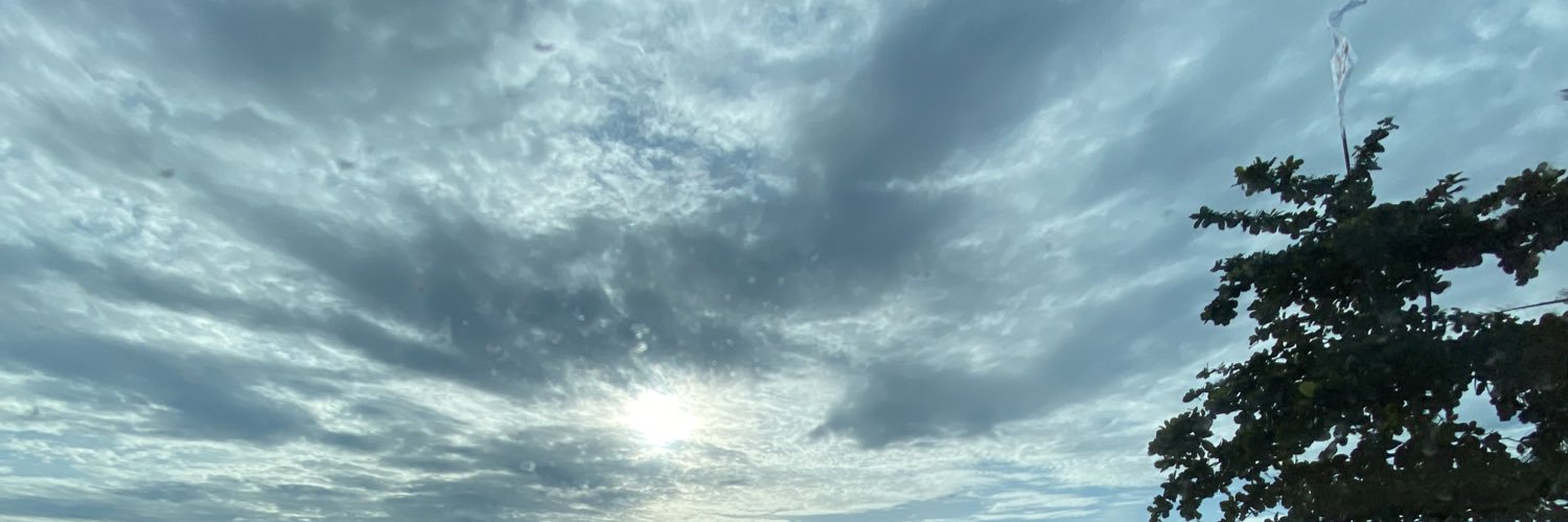 alifiarida's profile banner image