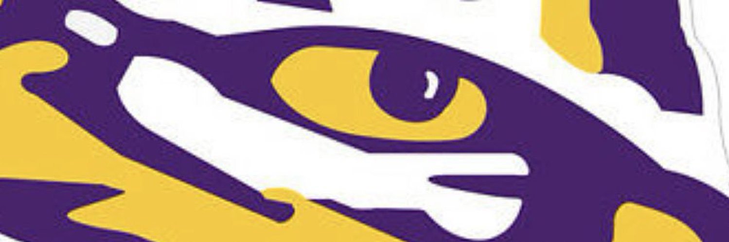 LSUDeuce2's profile banner image