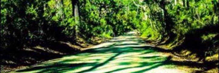 GreenNunga's profile banner image