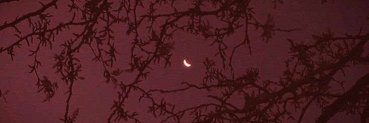 emilyhardee13's profile banner image