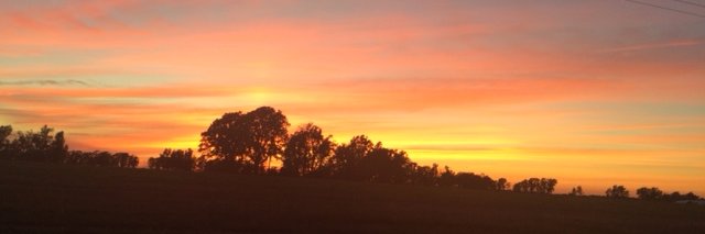 Kathy Chelsen ♥ ♫ banner