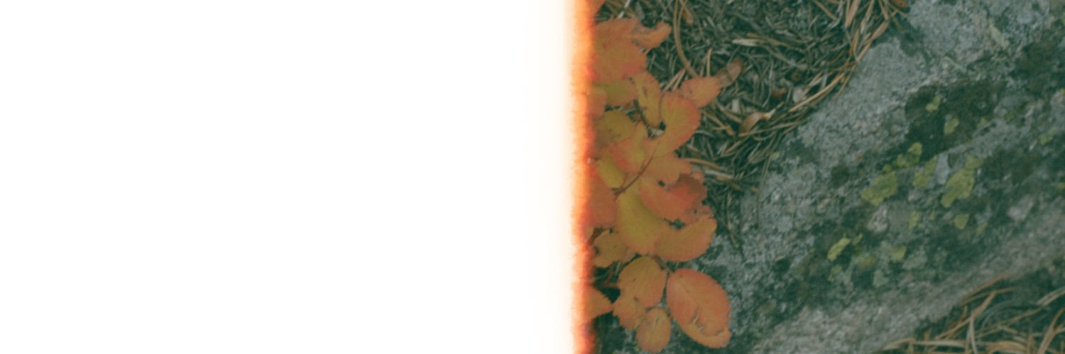 muffiiiie's profile banner image