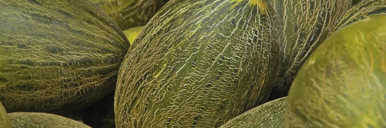 roi_melon's profile banner image