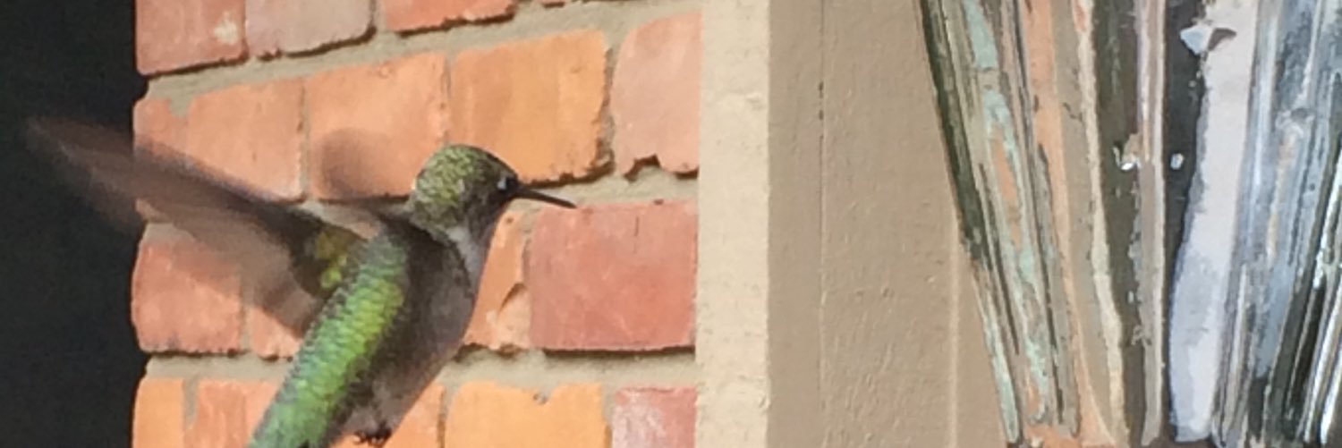 DaThump2's profile banner image