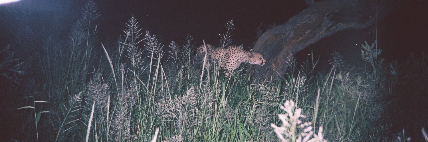 Cheetah Conservation Fund's banner