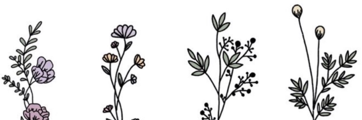 salba95's profile banner image