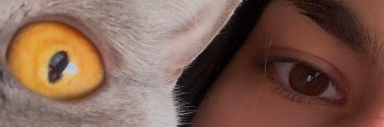RenataSousaa's profile banner image