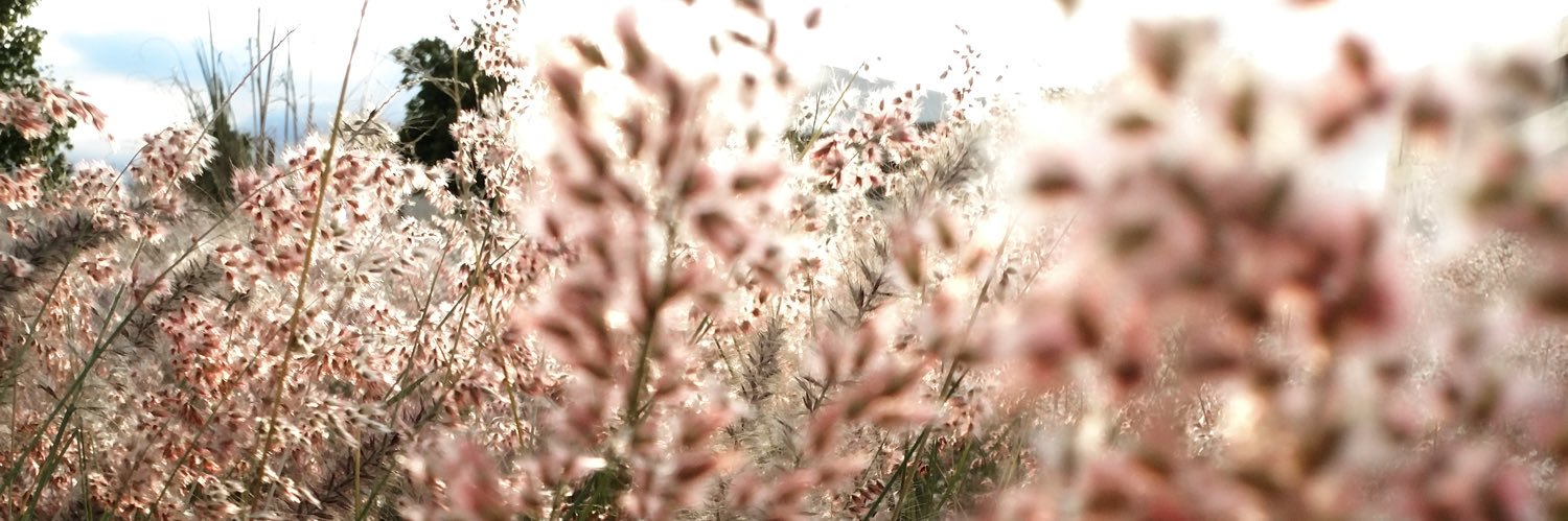 LoanaHeba's profile banner image
