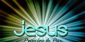 paulafsena's profile banner image