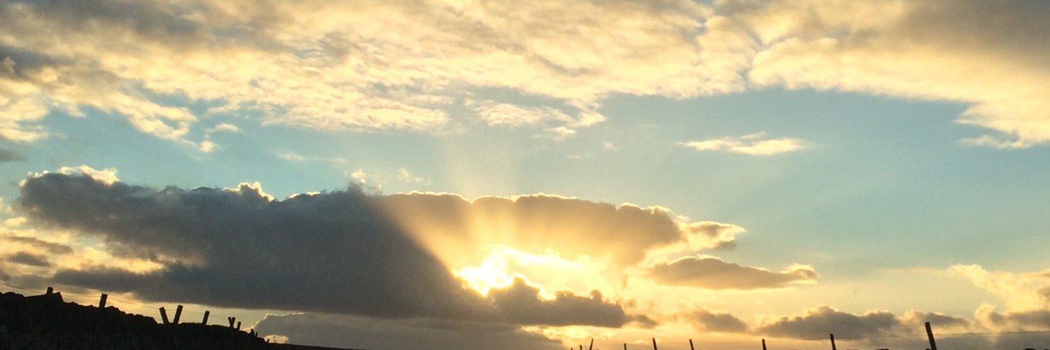 RebeIious's profile banner image