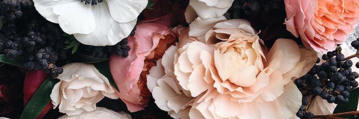 ainilsofia's profile banner image