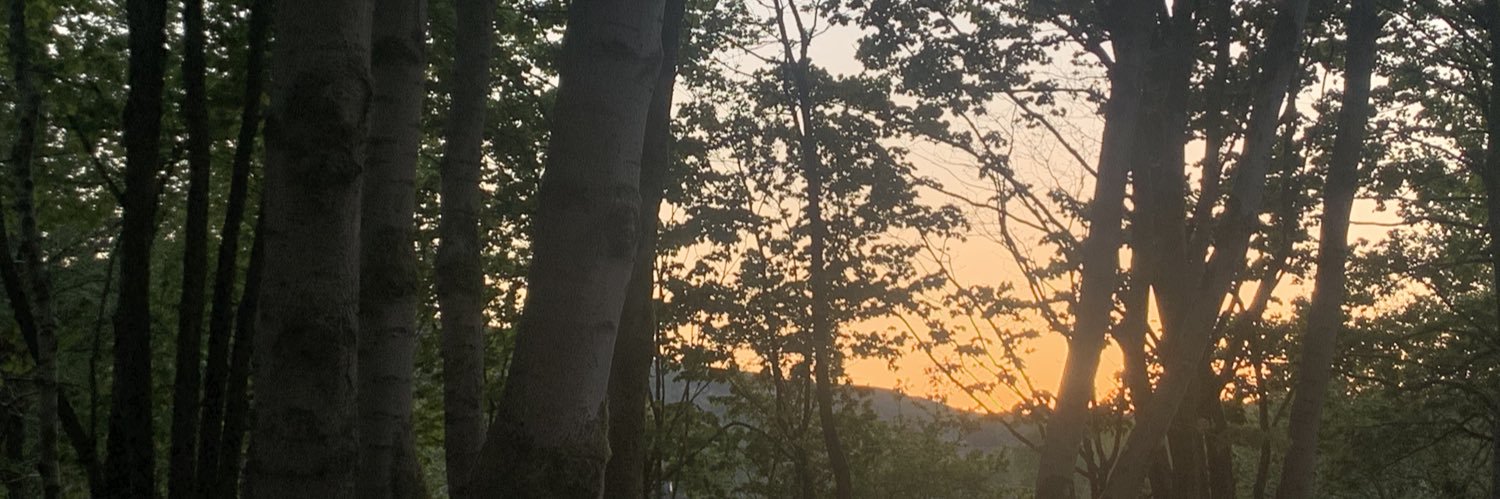 daisyehilton's profile banner image