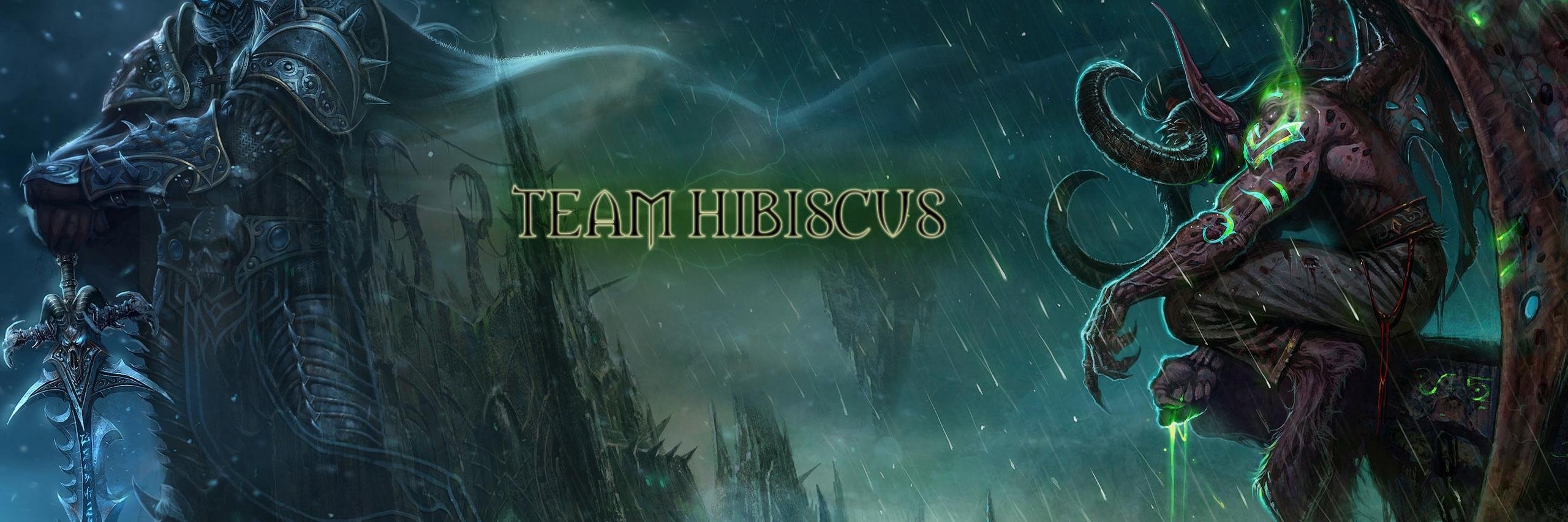 TeamHibiscus banner