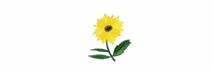 0.25 cm. banner