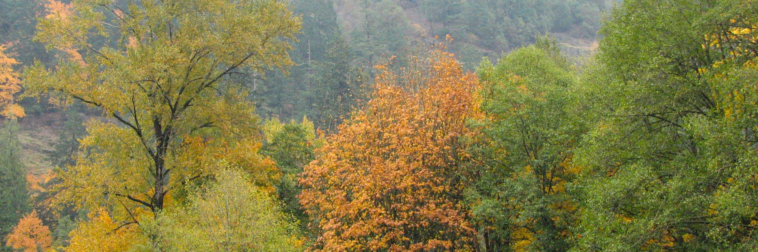 NTLCBC's profile banner image