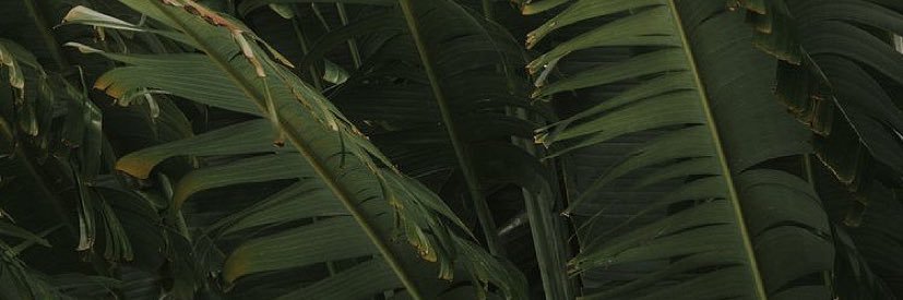 Ohmyanet's profile banner image