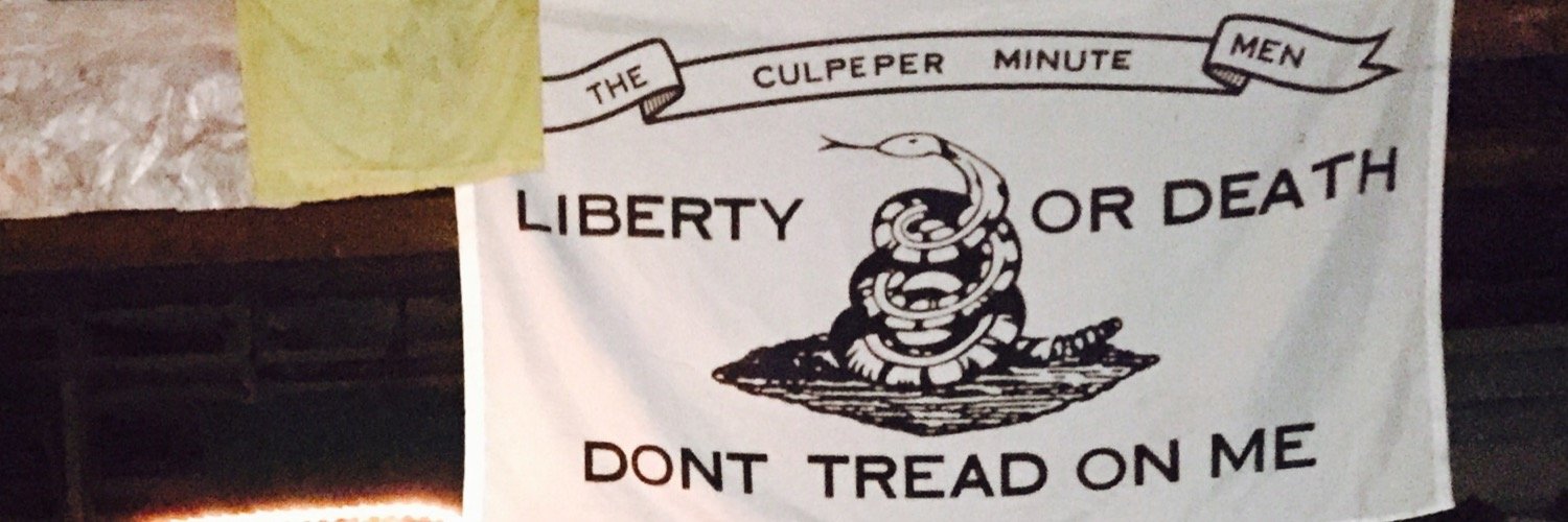 Tristan Walsh banner