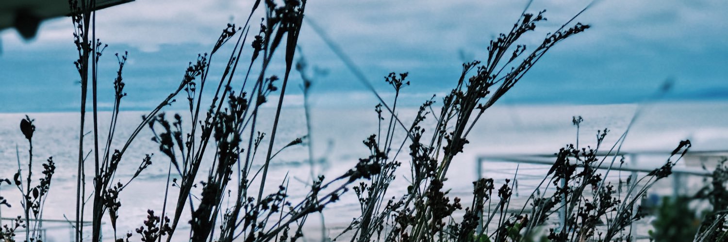 bxrrientos's profile banner image