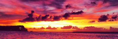 PRINCESSellen44's profile banner image