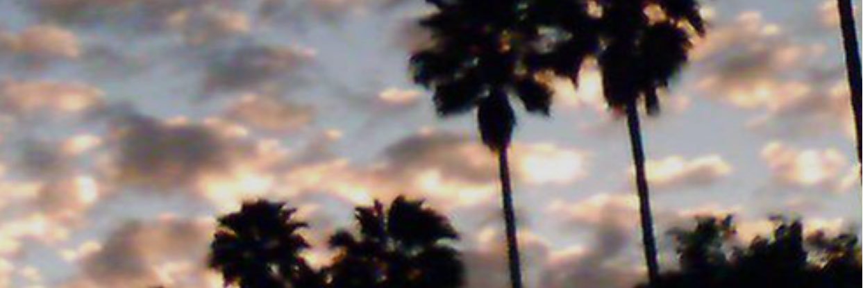 VacationToRome_'s profile banner image