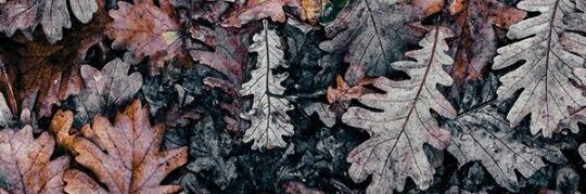 soficrifasi's profile banner image