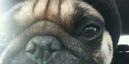 DiddyAzz's profile banner image