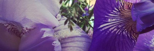 BeAlright27 Profile Banner